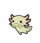 ウーパくん 育成2 ゴールデン（個別スタンプ：11）
