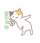 アンニュイな猫Vol3（個別スタンプ：5）