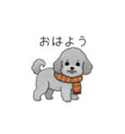 冬に使えるトイプードル（季節+日常会話）（個別スタンプ：1）