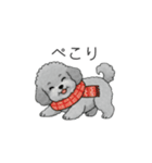 冬に使えるトイプードル（季節+日常会話）（個別スタンプ：3）
