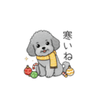 冬に使えるトイプードル（季節+日常会話）（個別スタンプ：5）