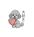 冬に使えるトイプードル（季節+日常会話）（個別スタンプ：8）