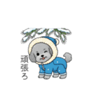 冬に使えるトイプードル（季節+日常会話）（個別スタンプ：9）