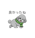 冬に使えるトイプードル（季節+日常会話）（個別スタンプ：10）
