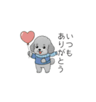 冬に使えるトイプードル（季節+日常会話）（個別スタンプ：11）