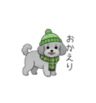 冬に使えるトイプードル（季節+日常会話）（個別スタンプ：13）