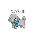 冬に使えるトイプードル（季節+日常会話）（個別スタンプ：14）