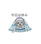 冬に使えるトイプードル（季節+日常会話）（個別スタンプ：15）