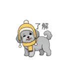冬に使えるトイプードル（季節+日常会話）（個別スタンプ：16）