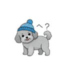冬に使えるトイプードル（季節+日常会話）（個別スタンプ：17）