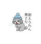 冬に使えるトイプードル（季節+日常会話）（個別スタンプ：20）