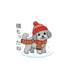 冬に使えるトイプードル（季節+日常会話）（個別スタンプ：22）
