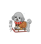 冬に使えるトイプードル（季節+日常会話）（個別スタンプ：25）