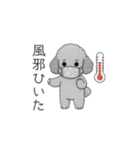 冬に使えるトイプードル（季節+日常会話）（個別スタンプ：27）