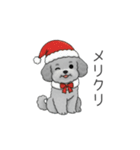冬に使えるトイプードル（季節+日常会話）（個別スタンプ：33）