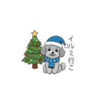 冬に使えるトイプードル（季節+日常会話）（個別スタンプ：34）