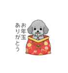 冬に使えるトイプードル（季節+日常会話）（個別スタンプ：39）