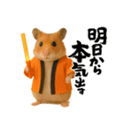 推し活ハムさん(オレンジ担)（個別スタンプ：2）