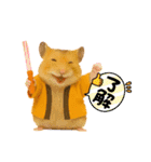 推し活ハムさん(オレンジ担)（個別スタンプ：3）