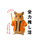 推し活ハムさん(オレンジ担)（個別スタンプ：5）