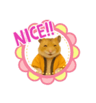 推し活ハムさん(オレンジ担)（個別スタンプ：8）