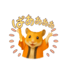 推し活ハムさん(オレンジ担)（個別スタンプ：12）