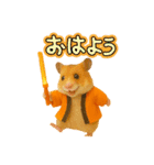 推し活ハムさん(オレンジ担)（個別スタンプ：15）