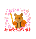 推し活ハムさん(オレンジ担)（個別スタンプ：16）