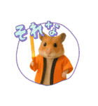 推し活ハムさん(オレンジ担)（個別スタンプ：17）