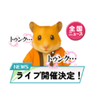 推し活ハムさん(オレンジ担)（個別スタンプ：20）