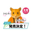 推し活ハムさん(オレンジ担)（個別スタンプ：21）