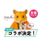 推し活ハムさん(オレンジ担)（個別スタンプ：22）