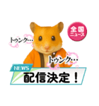 推し活ハムさん(オレンジ担)（個別スタンプ：23）