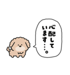 犬の日チャリティー【敬語】スタンプ（個別スタンプ：17）