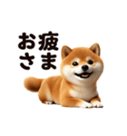 動く！SHIBAROCK FESTIVAL（個別スタンプ：12）