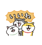 しばんばん（うごく！）（個別スタンプ：6）