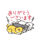 しばんばん（うごく！）（個別スタンプ：9）