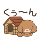 飛びだす！ふわもこトイプー（個別スタンプ：23）