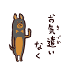 ◯とても敬語すぎる犬たち◯（個別スタンプ：3）