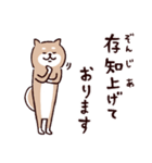 ◯とても敬語すぎる犬たち◯（個別スタンプ：8）