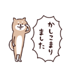 ◯とても敬語すぎる犬たち◯（個別スタンプ：11）