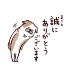 ◯とても敬語すぎる犬たち◯（個別スタンプ：13）