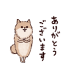 ◯とても敬語すぎる犬たち◯（個別スタンプ：14）