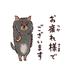 ◯とても敬語すぎる犬たち◯（個別スタンプ：17）