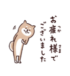 ◯とても敬語すぎる犬たち◯（個別スタンプ：18）