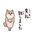 ◯とても敬語すぎる犬たち◯（個別スタンプ：24）