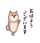 ◯とても敬語すぎる犬たち◯（個別スタンプ：25）
