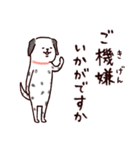 ◯とても敬語すぎる犬たち◯（個別スタンプ：26）