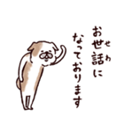 ◯とても敬語すぎる犬たち◯（個別スタンプ：27）