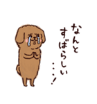 ◯とても敬語すぎる犬たち◯（個別スタンプ：31）